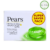 Pack of (12pcs)